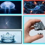 surprising science facts — Mind-Blowing Discoveries: Top 5 Surprising Science Facts You Won't Believe